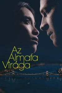  Цветок яблони 